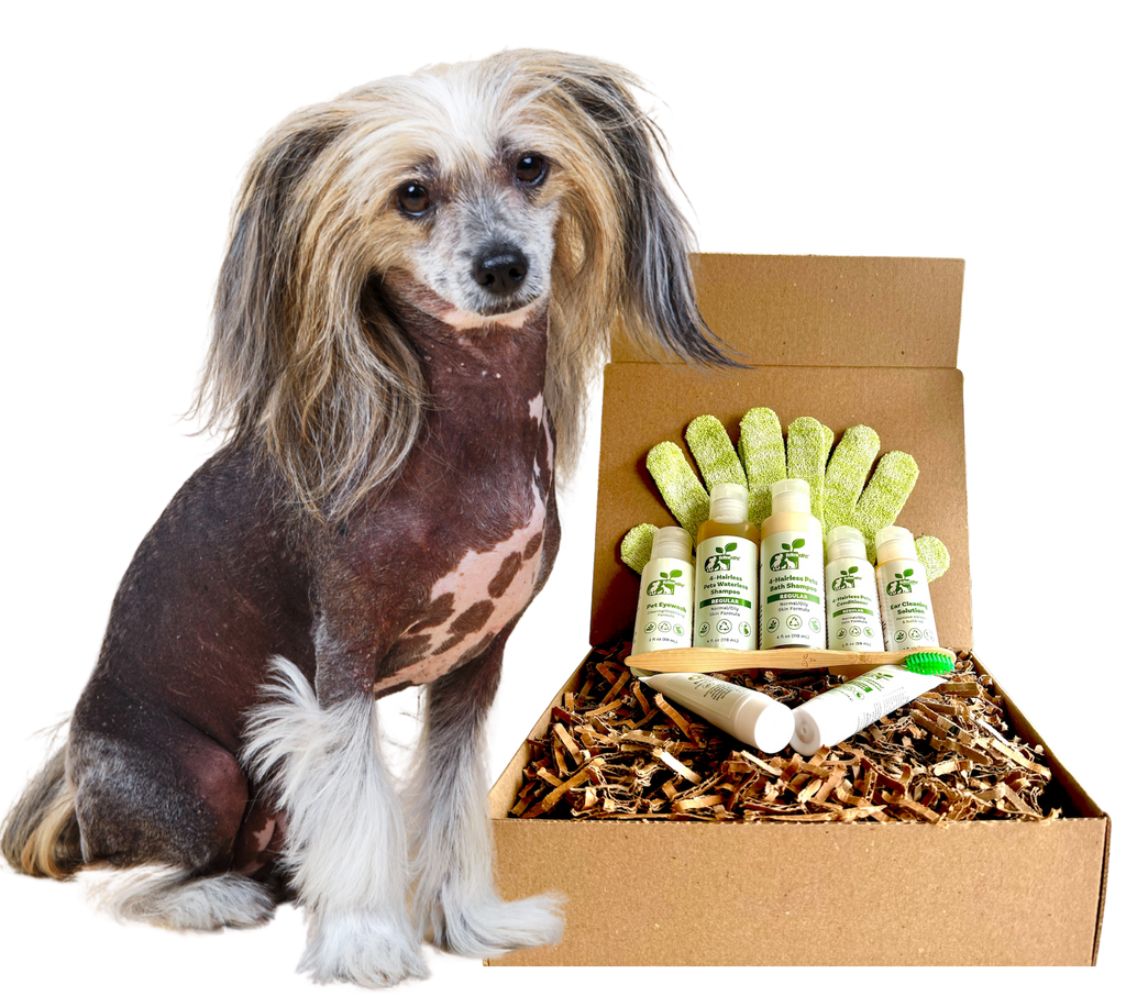 4-HAIRLESS PETS *DOG SENSITIVE KIT