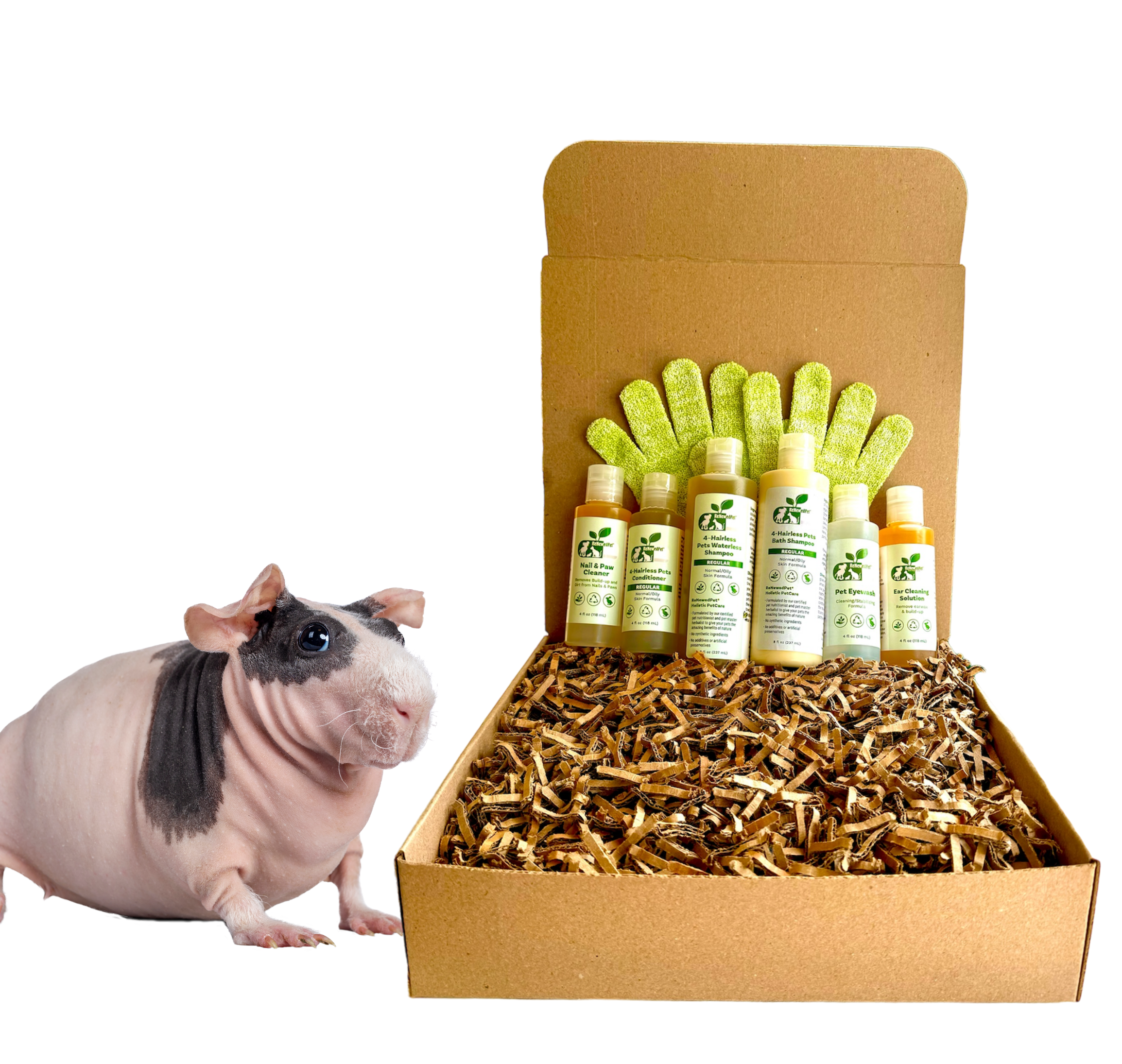 4-HAIRLESS PETS *SKINNYPIG REGULAR KIT
