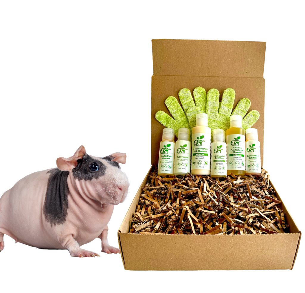 4-HAIRLESS PETS *SKINNYPIG REGULAR KIT